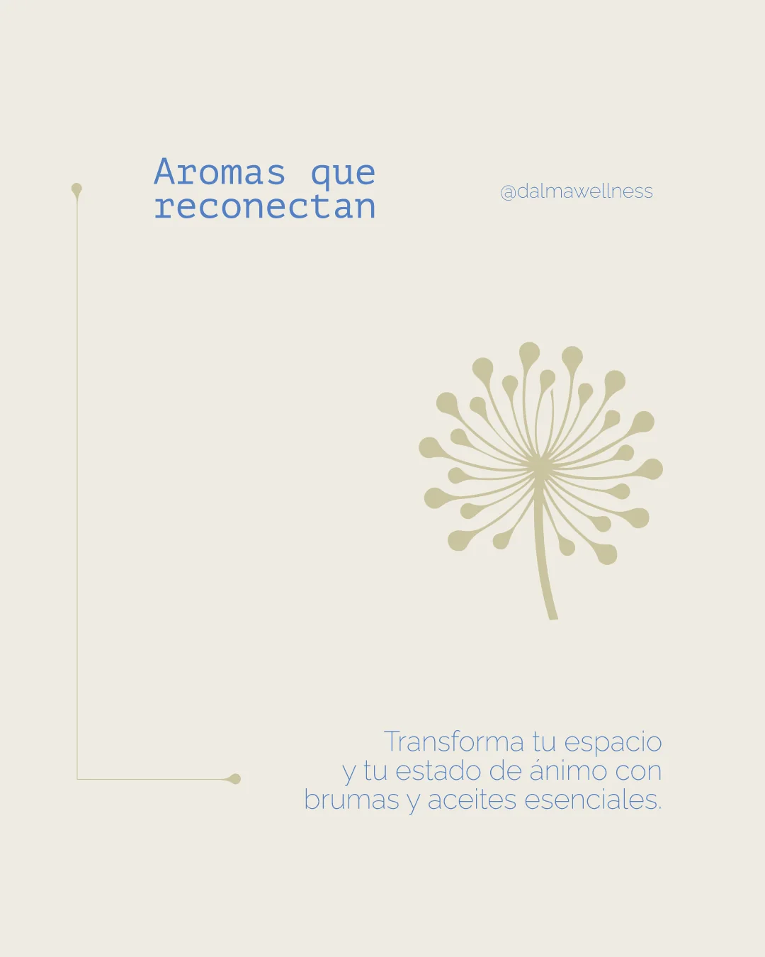 Post de redes sociales de Dalma Wellness 2