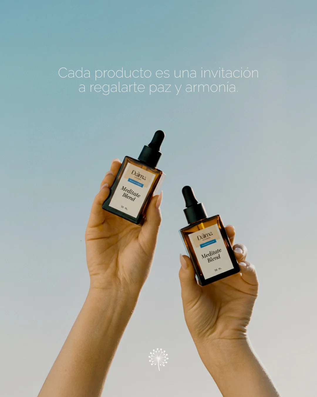 Post de redes sociales de Dalma Wellness 3