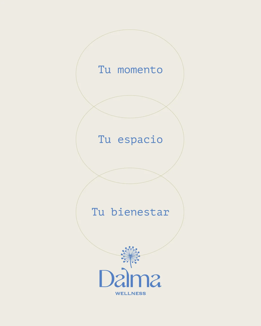 Post de redes sociales de Dalma Wellness 4
