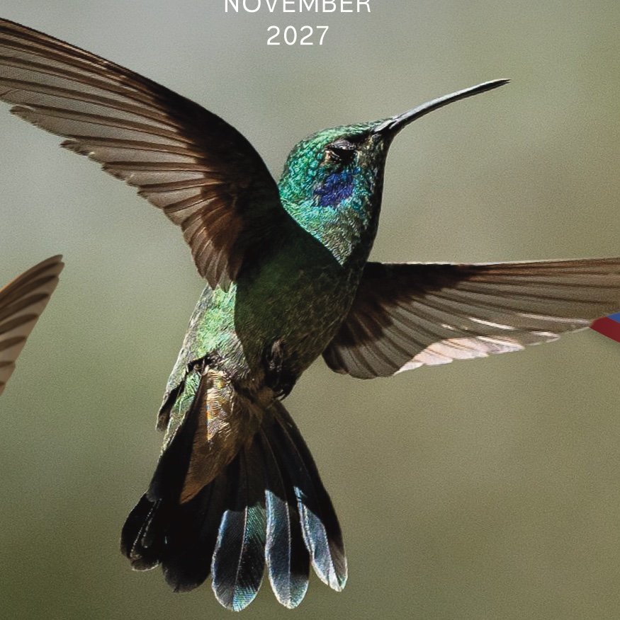 wcp colibri